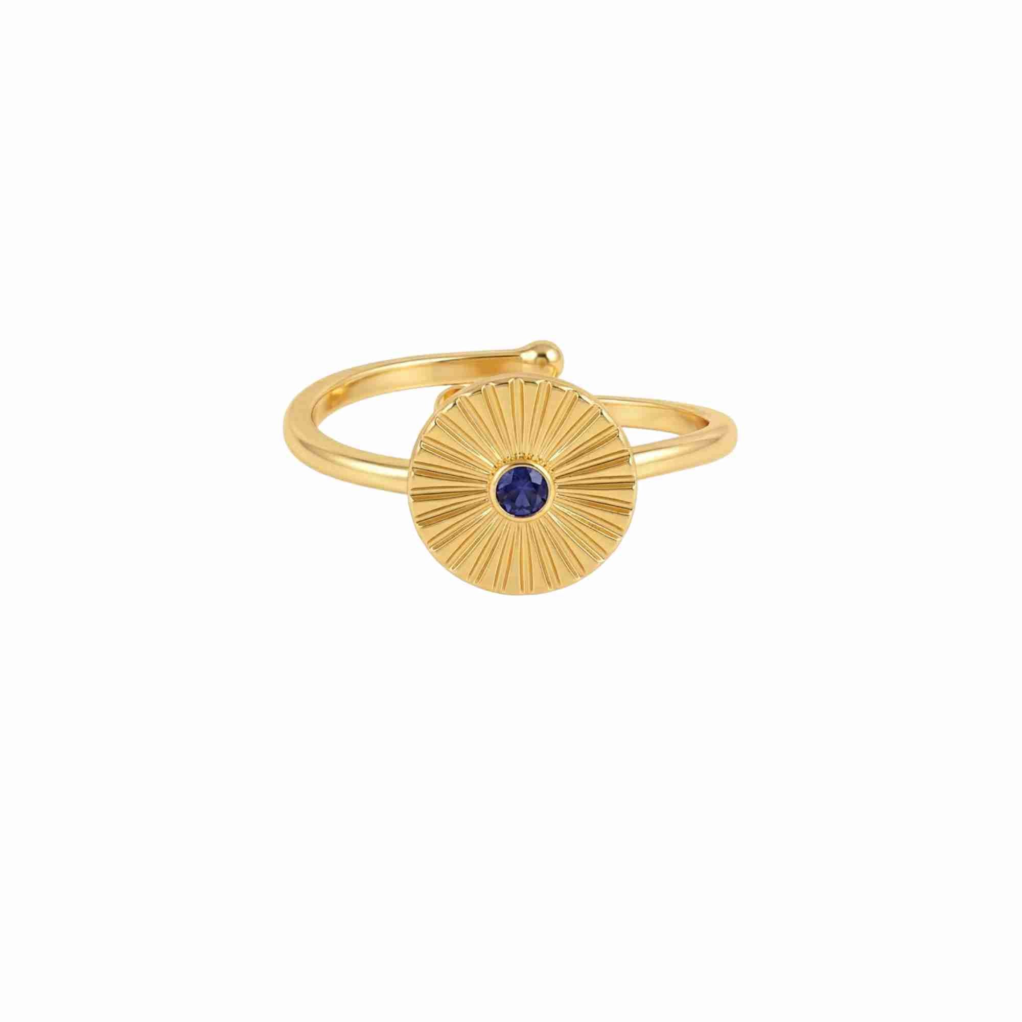 Studio product shot of the Delicate Vintage Fluted Disc Ring in Gold by Protsaah Zurich against a clean white background, presenting a direct face-on view that highlights the detailed sunburst grooves radiating from the centered round gemstone.