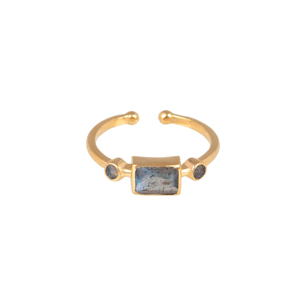 Geo Glam Small Rectangular Stone Adjustable Ring in Gold