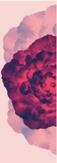 Cashmere Scarf - Printed Stoles - Magical Bloom